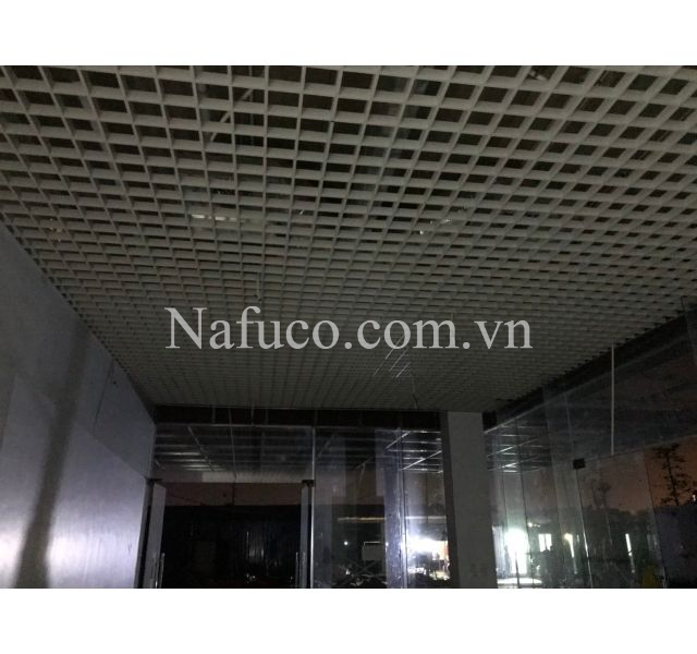 hoàn thiện gói thầu ngoại thất : trần caro