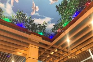 Trần nhôm u nghệ thuật