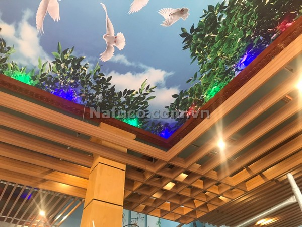 Trần nhôm u nghệ thuật